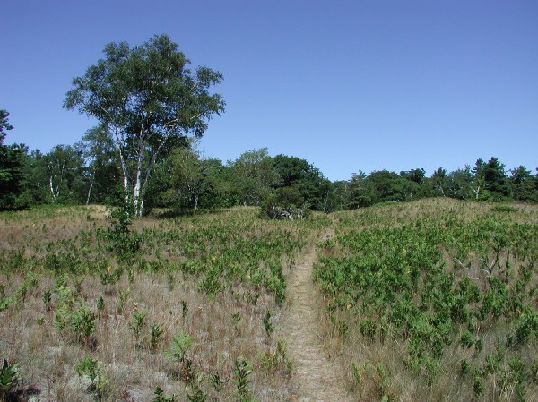 p7237980.jpg 91.2K