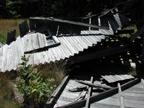 p7237982.jpg 95.1K