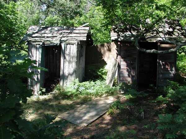p7237991.jpg 121.4K