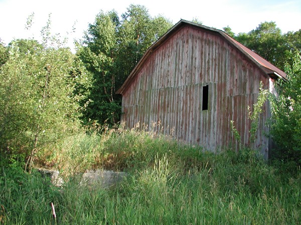 p7248132.jpg 118.1K