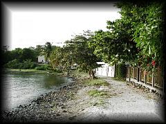 p7021386.jpg 202.9k bytes