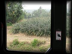 p7031521.jpg 158.9k bytes