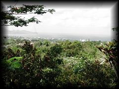 p7031413.jpg 174.9k bytes