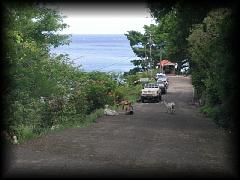 p7041586.jpg 164.2k bytes