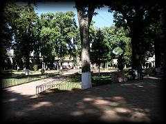 p3190444.jpg 174.5k bytes