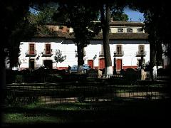 p3190445.jpg 137.0k bytes