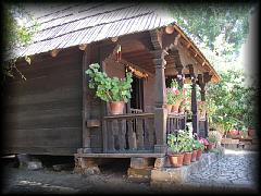 p3200457.jpg 173.9k bytes