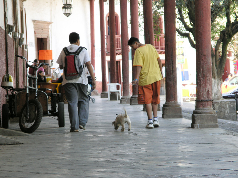 p3163217.jpg 177.9K