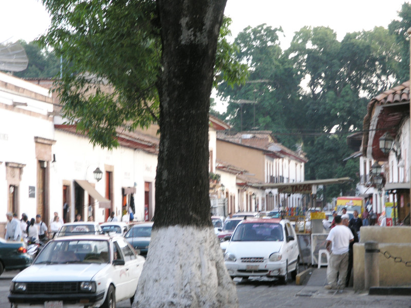 p3163234.jpg 184.2K