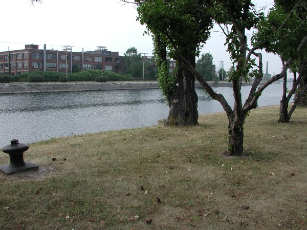 p8020853.jpg 95.7K