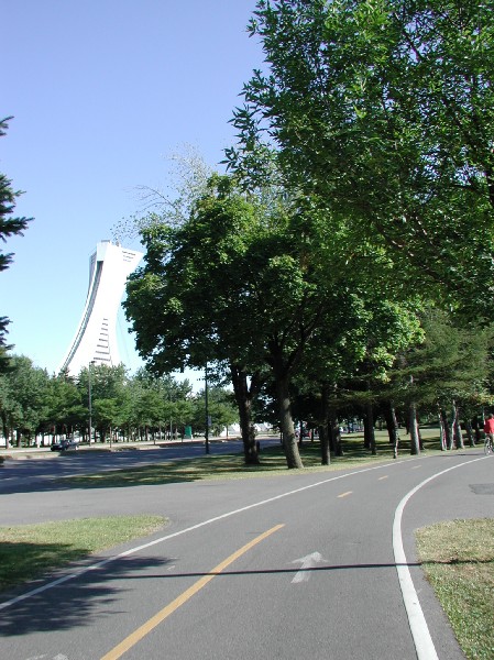 p8041257.jpg 101.3K