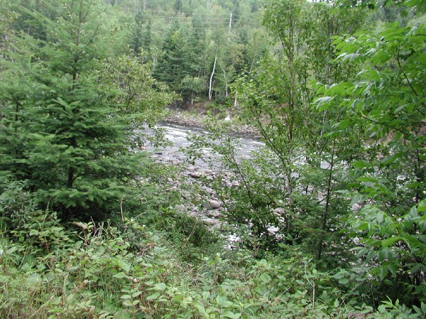 p8091781.jpg 131.9K