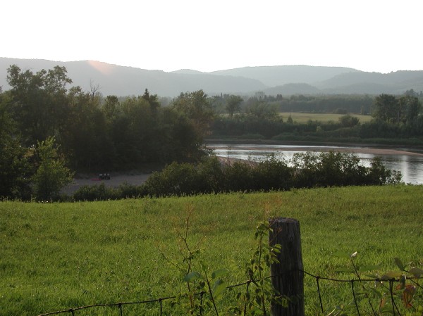 p8091869.jpg 66.2K
