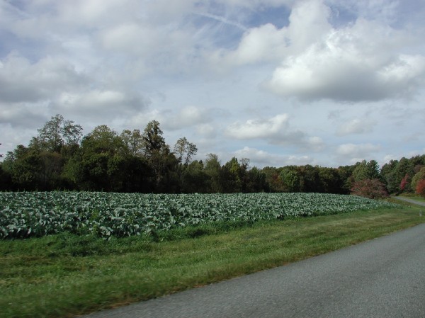 pa105474.jpg 63.8K