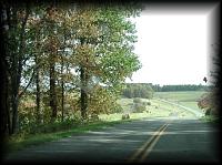 pa105461.jpg 8.4K