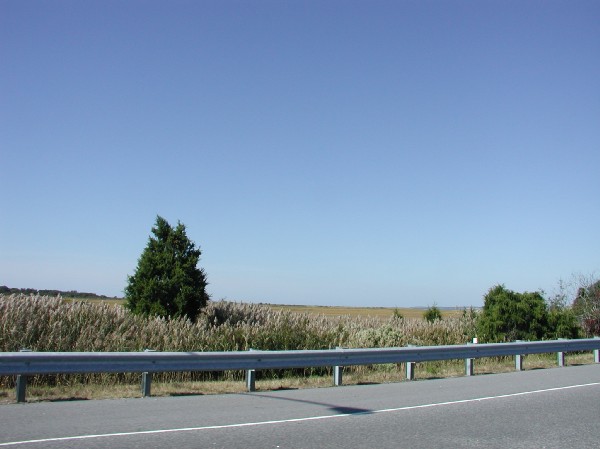 pa135797.jpg 45.3K