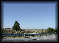 pa135797.jpg 4.9K