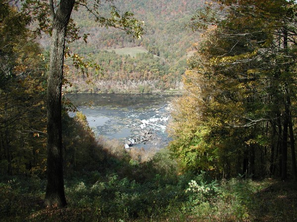 pa105427.jpg 118.4K