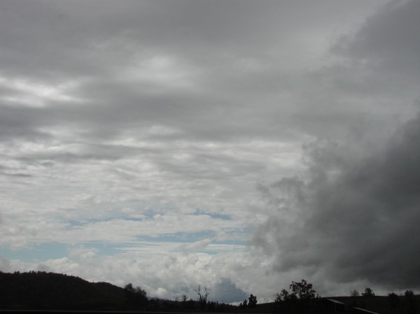 pa145837.jpg 29.6K
