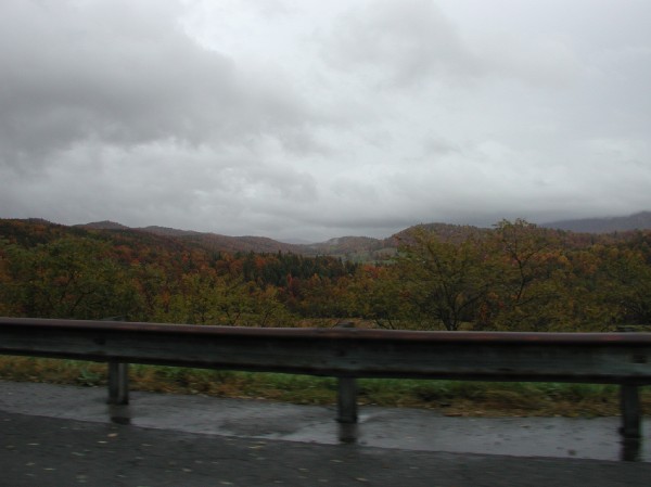 pa145840.jpg 40.1K