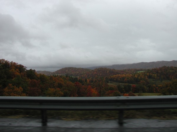 pa145842.jpg 36.8K