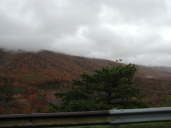 pa145845.jpg 40.4K
