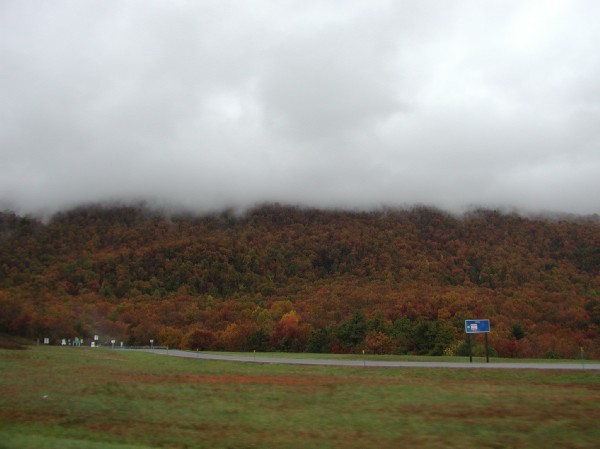 pa145847.jpg 41.5K