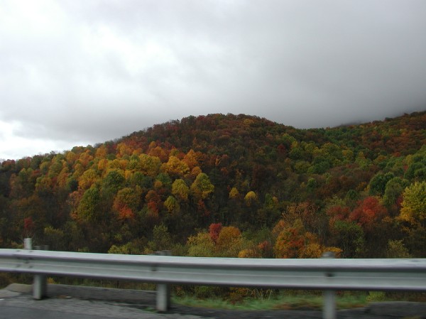 pa145850.jpg 51.6K