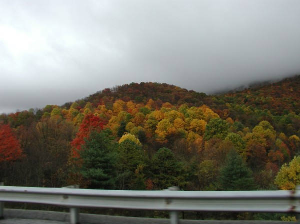 pa145851.jpg 54.9K