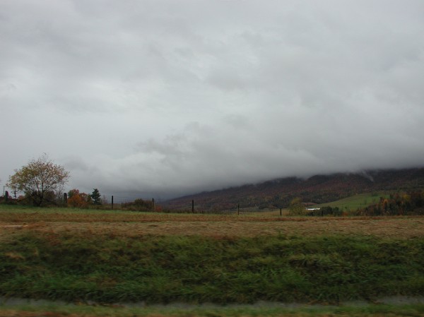 pa145852.jpg 38.7K
