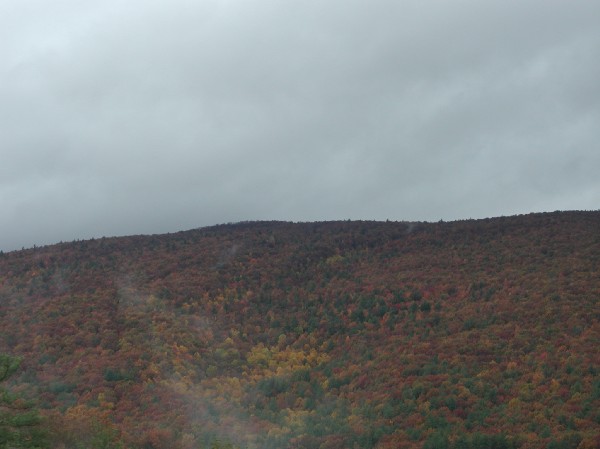 pa145854.jpg 41.8K