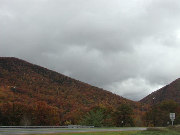 pa145856.jpg 42.7K
