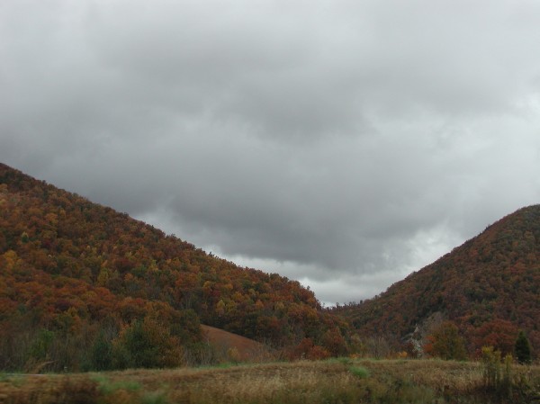pa145857.jpg 40.1K