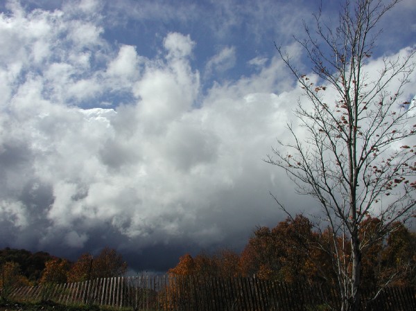 pa145862.jpg 70.7K