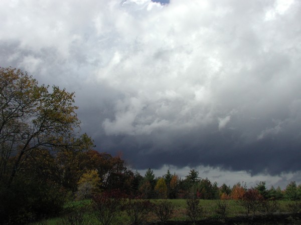 pa145864.jpg 49.3K