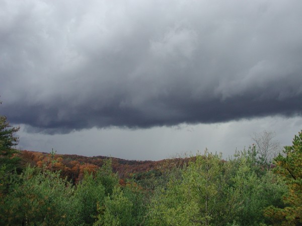 pa145866.jpg 50.7K