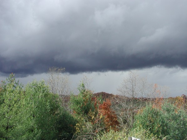 pa145867.jpg 65.2K