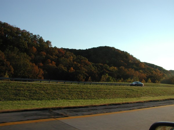 pa145873.jpg 53.2K