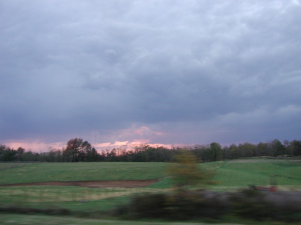pa145884.jpg 31.3K