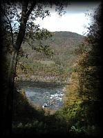 pa105428.jpg 8.2K