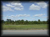 pa115500.jpg 5.7K