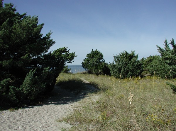 pa125562.jpg 82.7K