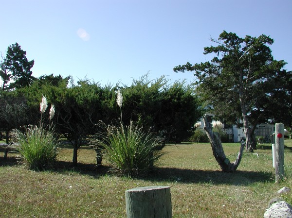 pa125566.jpg 90.9K