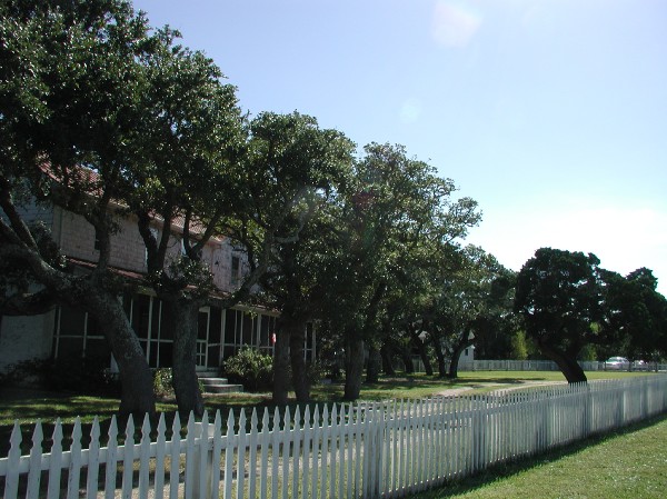 pa125570.jpg 85.4K