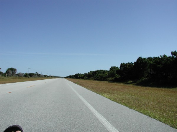 pa125571.jpg 45.1K