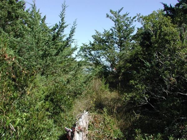 pa125580.jpg 133.7K