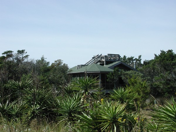 pa125609.jpg 79.8K