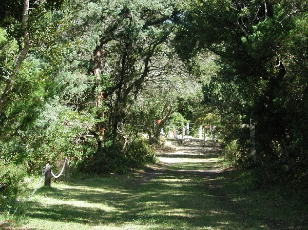 pa125612.jpg 136.9K