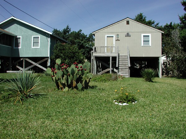 pa125615.jpg 104.6K