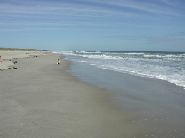 pa125633.jpg 35.8K